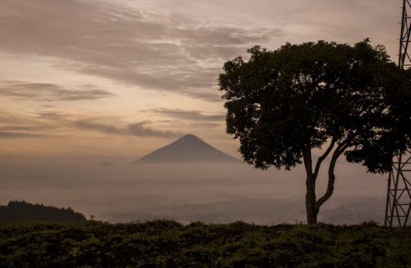 Tour del Volcán Pacaya